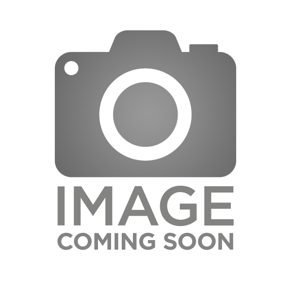 RUG 10/22-TAC 22LR 20B BUL TL